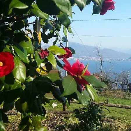 Casa Madama Appartement Cannero Riviera