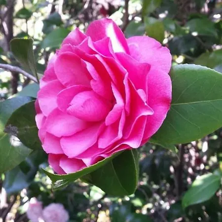 Appartement Casa Madama