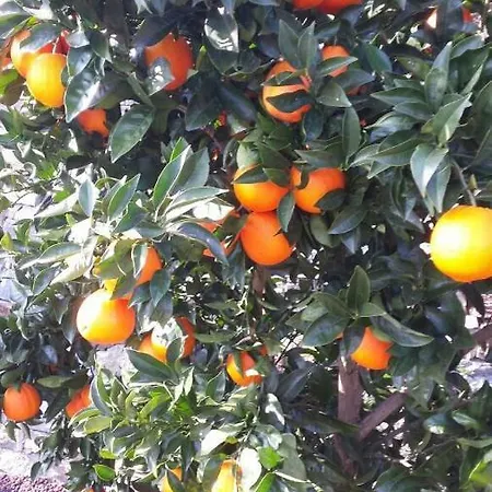 Appartement Casa Madama *